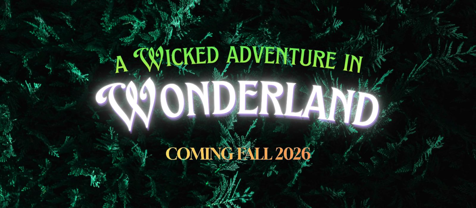 wonderland banner